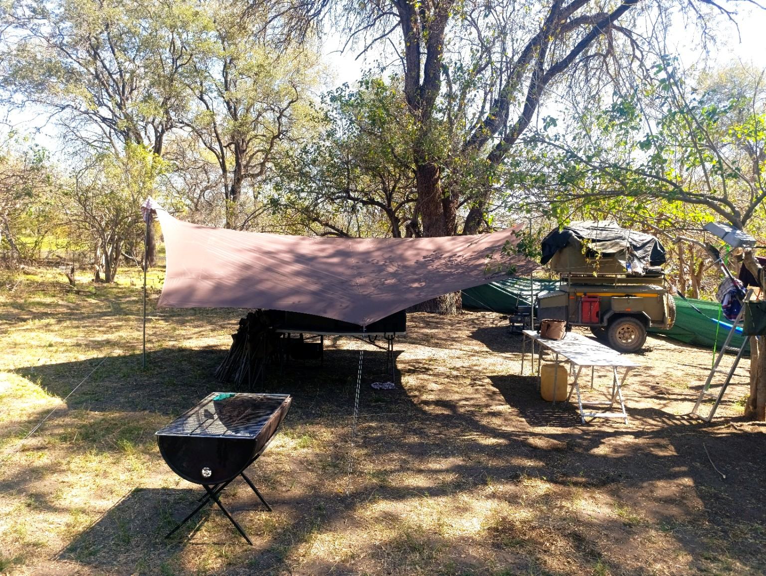 Self-drive camping setup beneath the trees