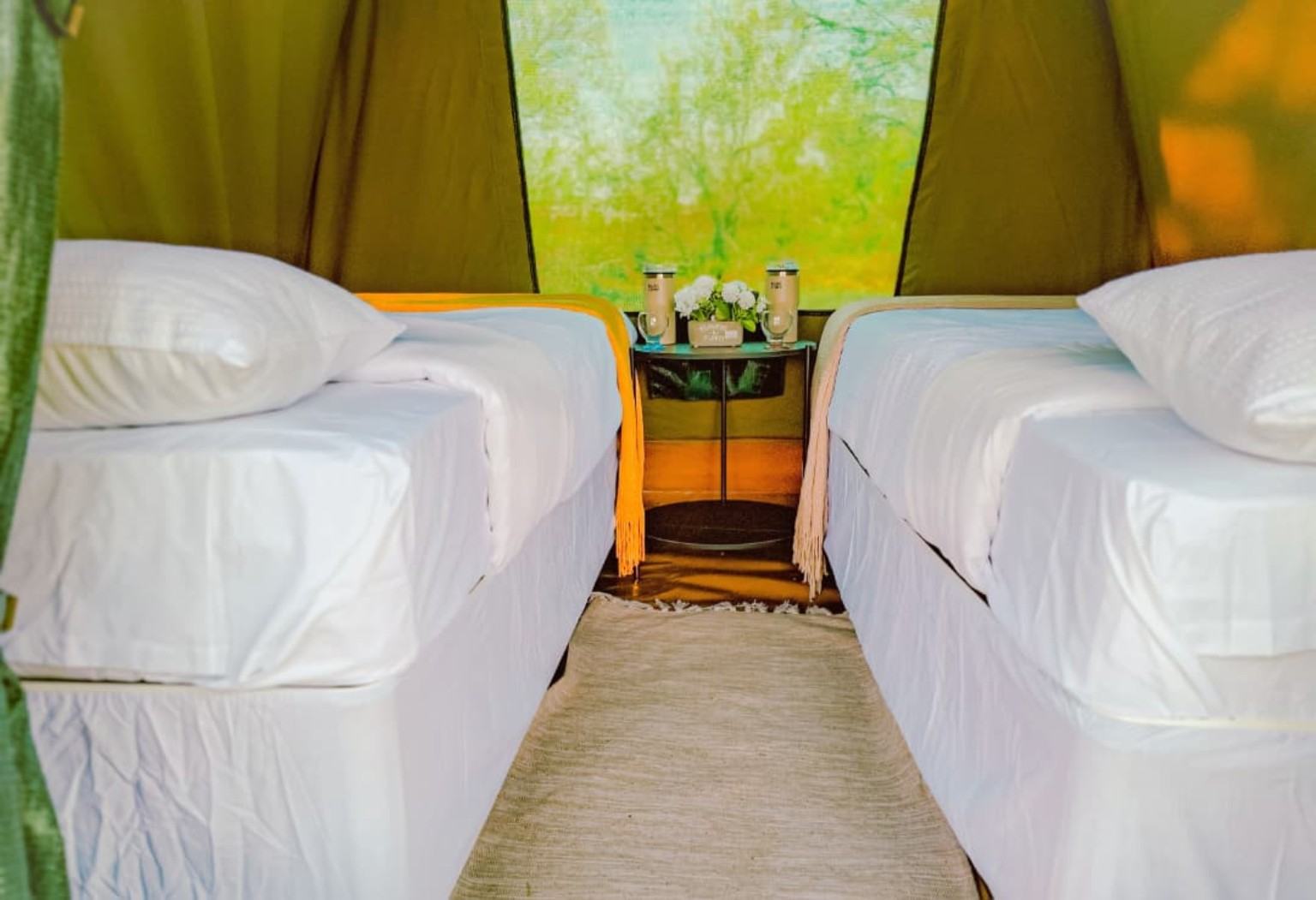 Interior of safari dome tent with beds